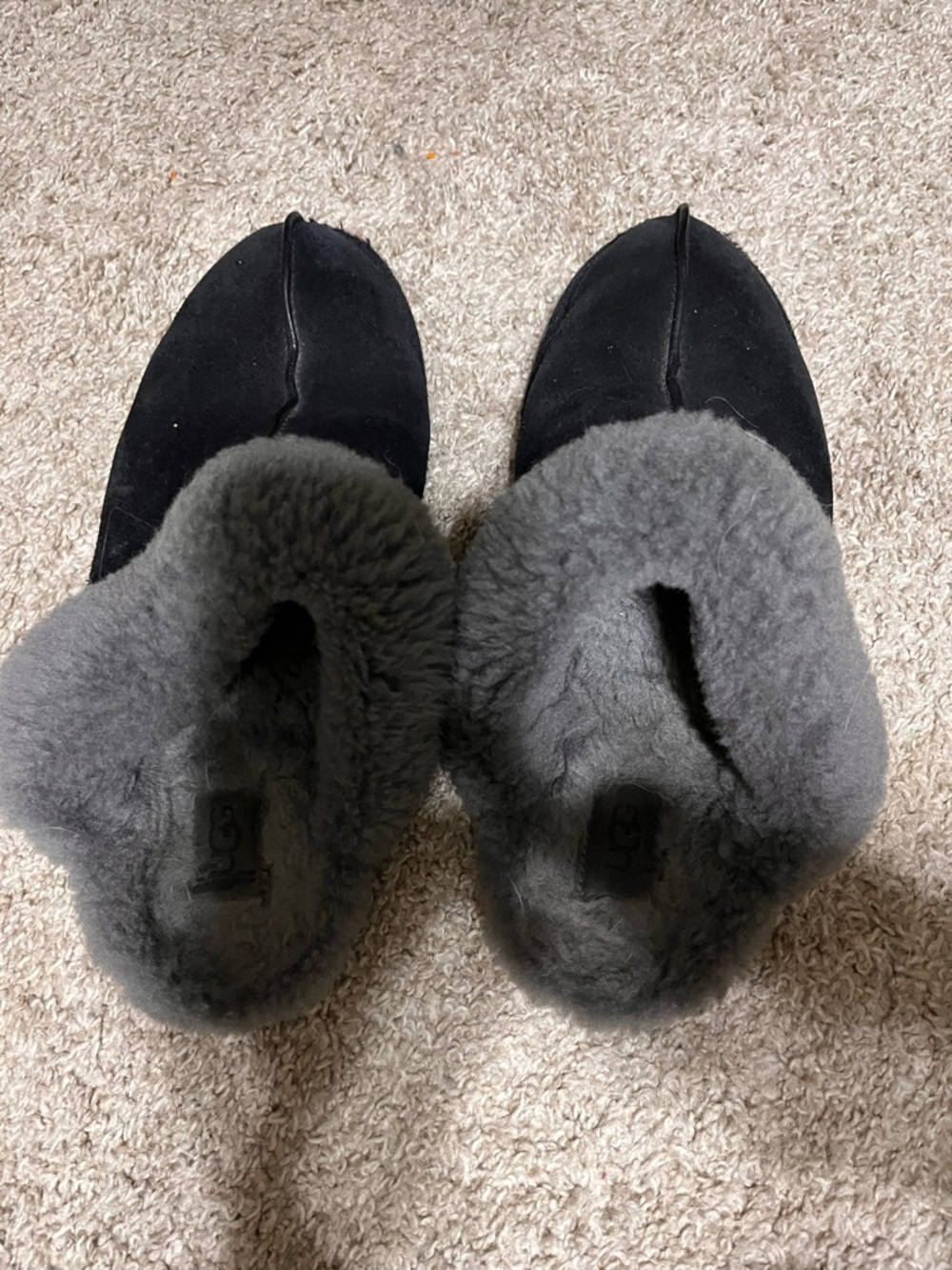 Plush Shearling-Lined Black Slippers Ugg